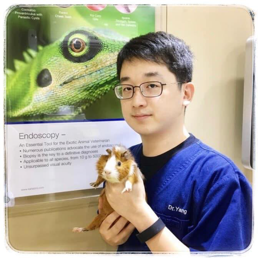 Doctor_Yang_Photo